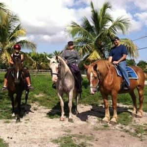 Meet your Posher, Alex eyal majda